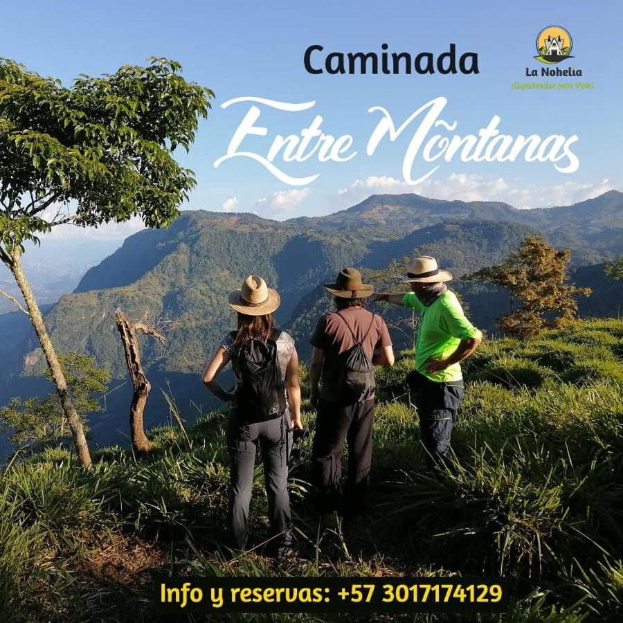 Chalet Ecoturismo La Nohelia Херико Екстериор снимка