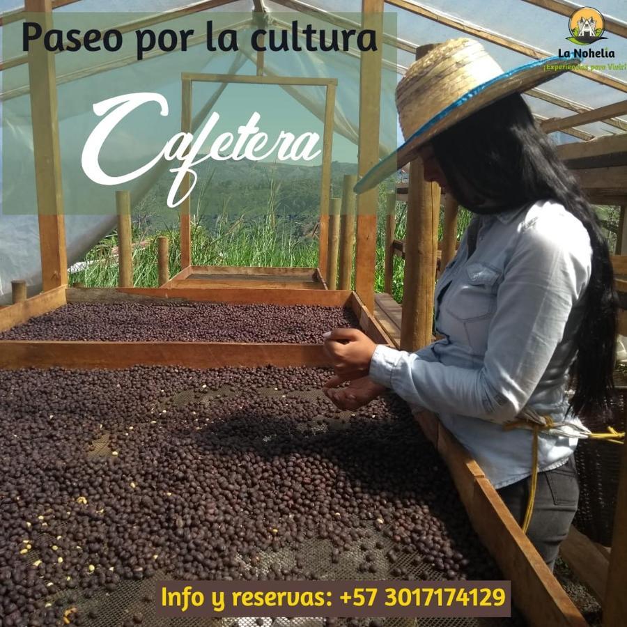 Chalet Ecoturismo La Nohelia Херико Екстериор снимка