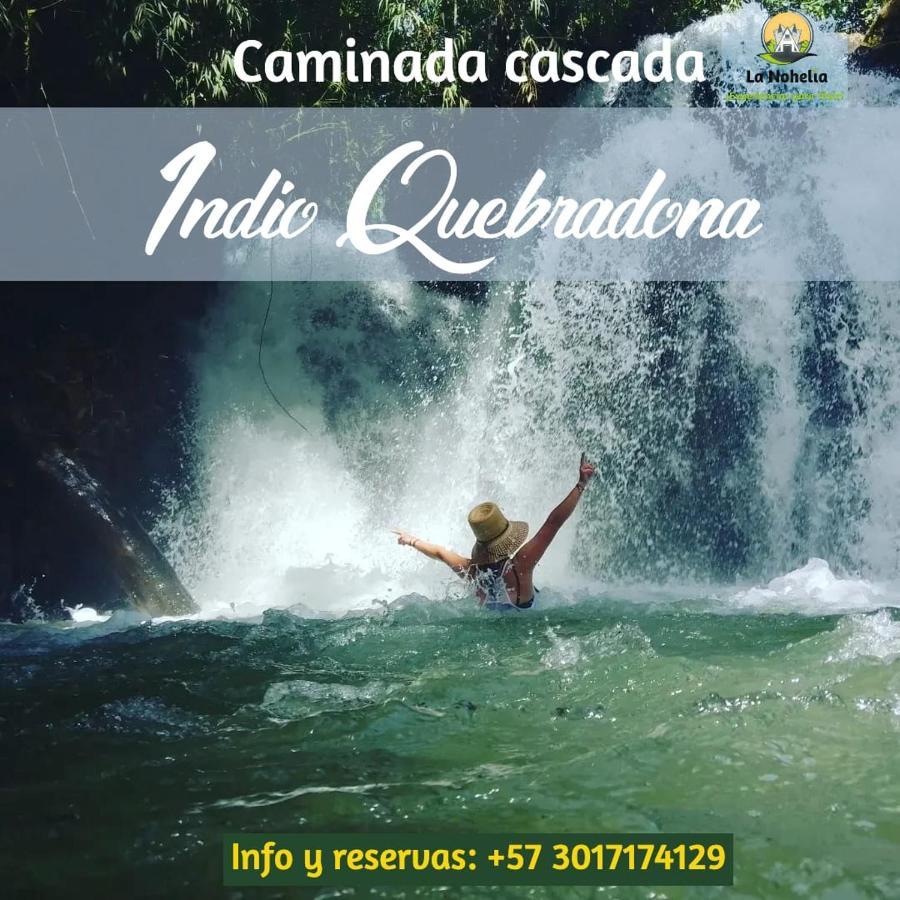 Chalet Ecoturismo La Nohelia Херико Екстериор снимка